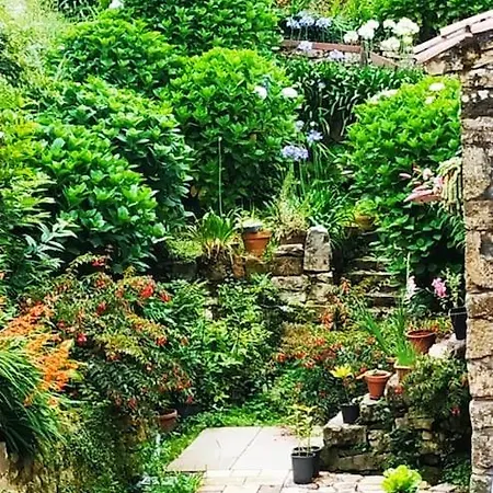 Precioso Apartamento En Plena Naturaleza La Cavada Exterior photo
